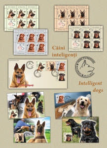Caini inteligenti_Intelligent dogs
