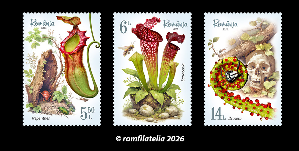 SITE_serie_Plante-carnivore