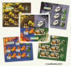 traieste_sanatos_2015_M