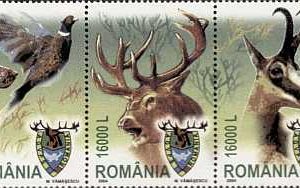 Cinegetică - a 51-a Adunare Generala a C.I.C