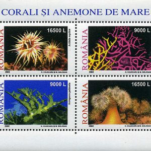 Corali si anemone de mare