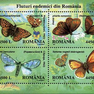 Fluturi endemici din România