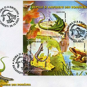 Reptile si amfibieni din Romania