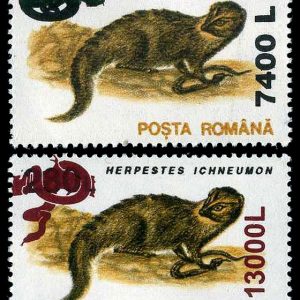 Animale 1993 – supratipar “șarpe”