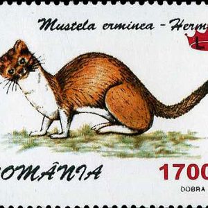 Faună 1997 – supratipar “coroană”