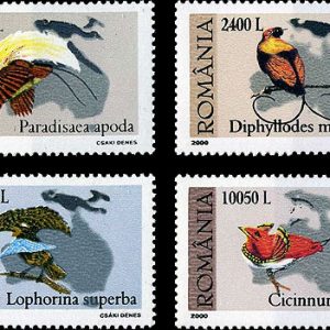 Din comorile Muzeului “Grigore Antipa” – Pasărea paradis