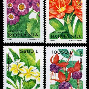 Plante de apartament