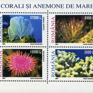 Corali și anemone de mare