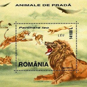 Colită dantelată - Animale de pradă