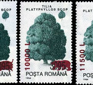 Specii forestiere - supratipar “animale salbatice”