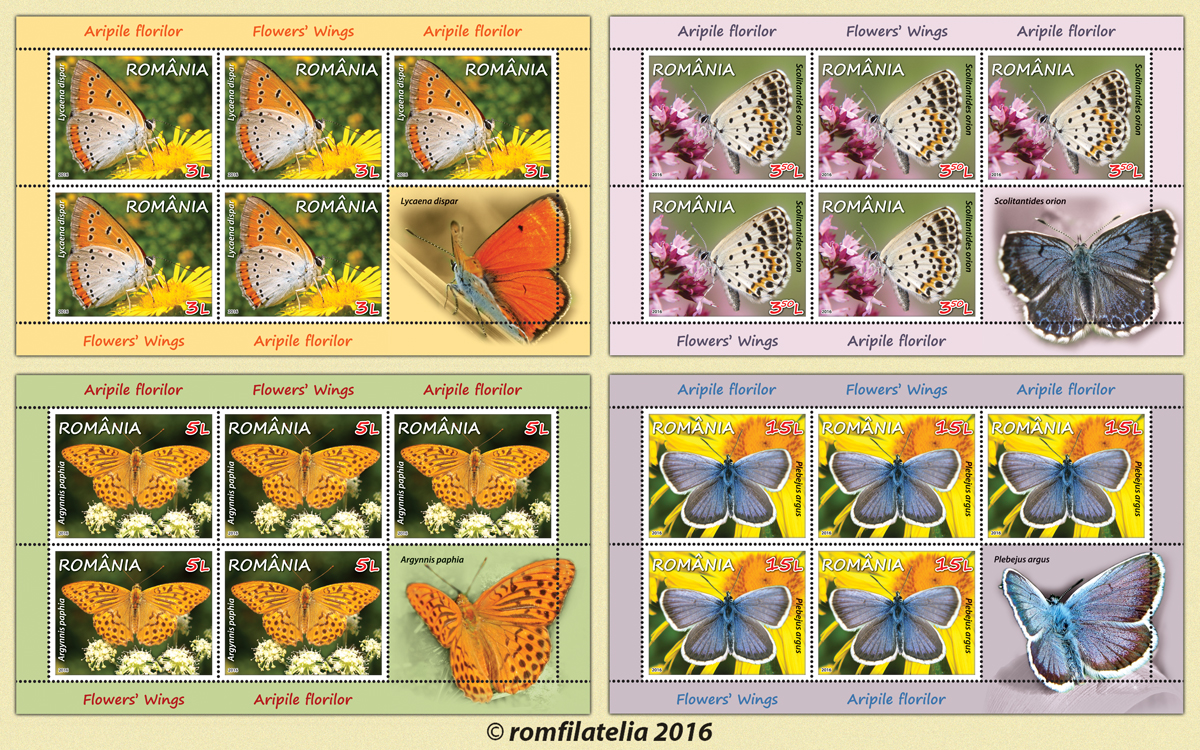 ARIPILE FLORILOR 1 ARIPILE FLORILOR