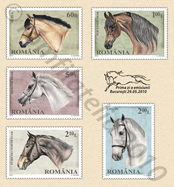 RASE DE CAI 1 RASE DE CAI