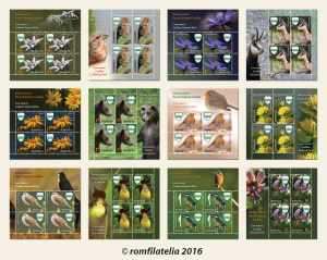 IUBEŞTE NATURA! PARCUL NAŢIONAL CEAHLĂU