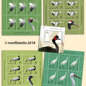 Păsări migratoare, Cocori