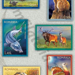 FAUNÃ PROTEJATÃ DIN ROMÂNIA