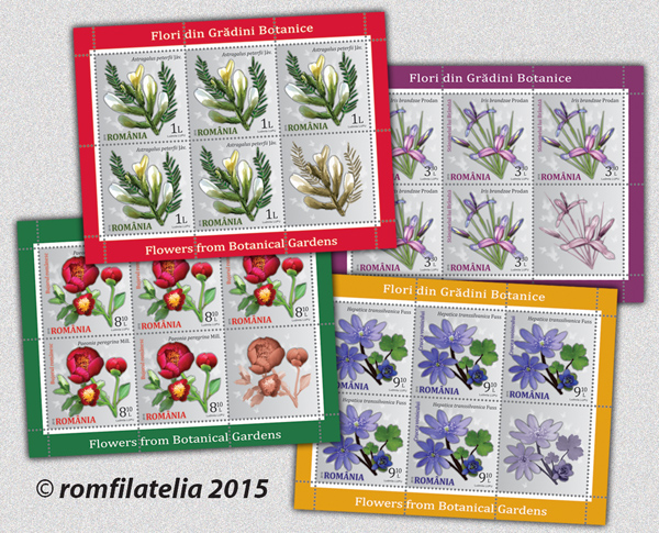 Flori din Grădini Botanice 1 Flori din Grădini Botanice