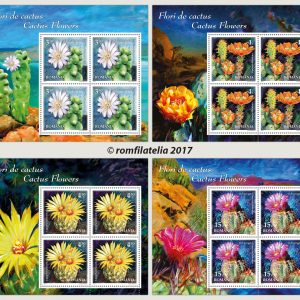 FLORI DE CACTUS