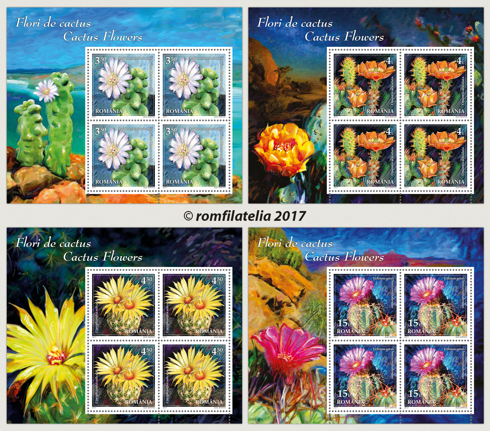 FLORI DE CACTUS 1 FLORI DE CACTUS