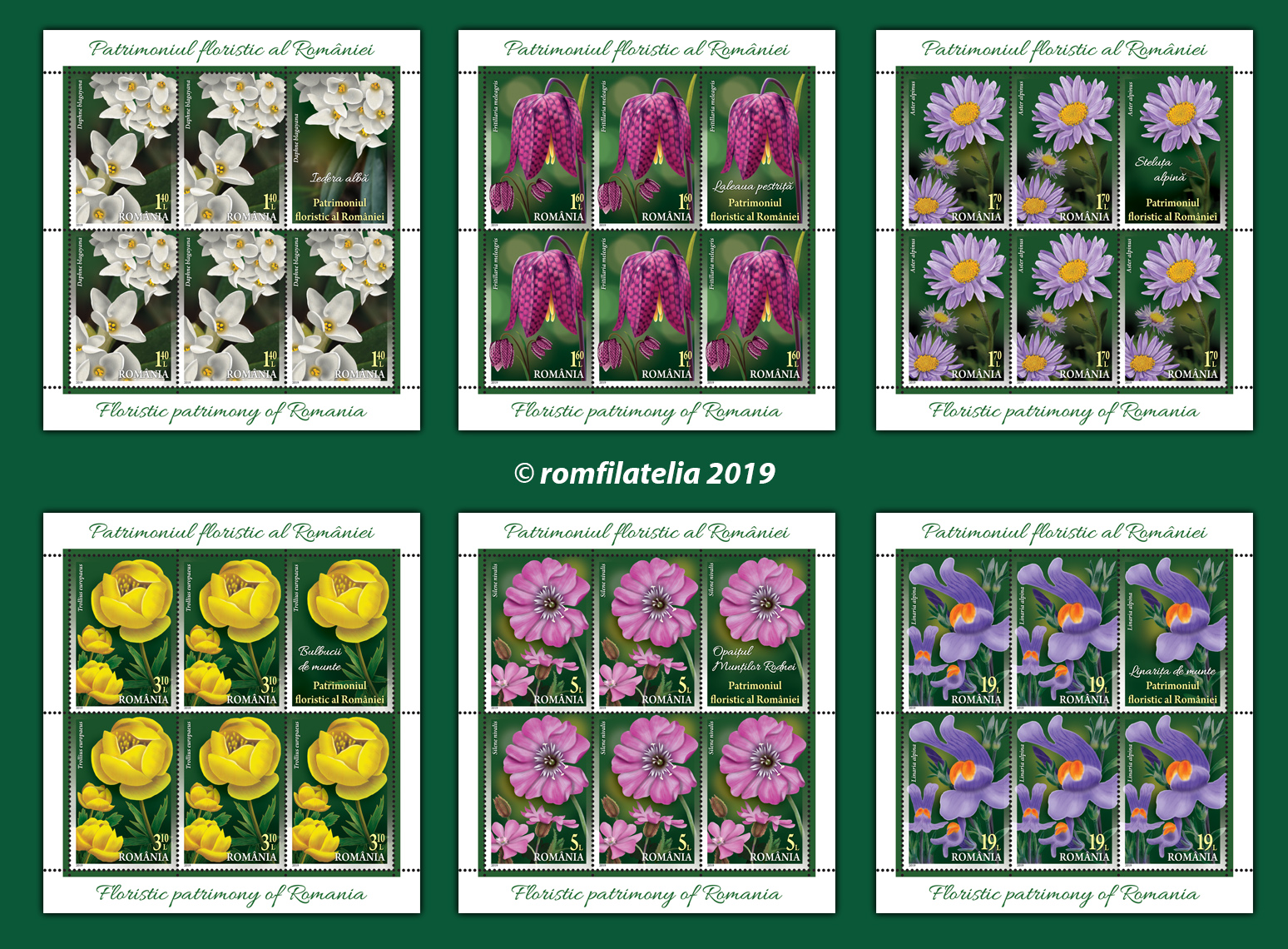 PATRIMONIUL FLORISTIC AL ROMÂNIEI 1 PATRIMONIUL FLORISTIC AL ROMÂNIEI