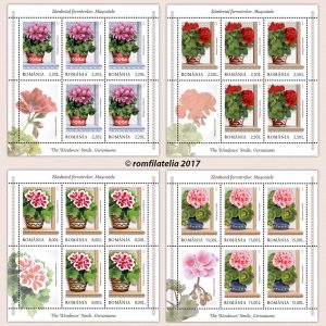 ZÂMBETUL FERESTRELOR, MUȘCATELE