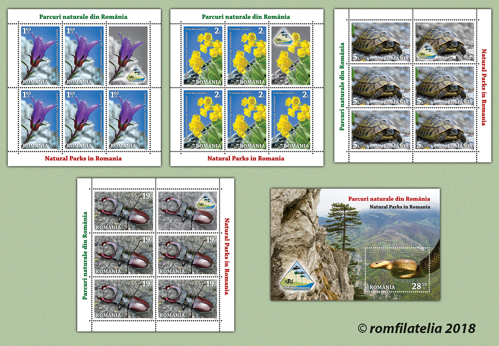 PARCURI NATURALE DIN ROMÂNIA 1 PARCURI NATURALE DIN ROMÂNIA