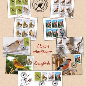 Păsări cântătoare