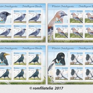 PĂSĂRI INTELIGENTE