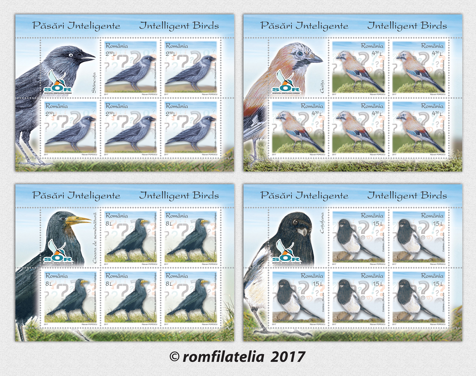 PĂSĂRI INTELIGENTE 1 PĂSĂRI INTELIGENTE