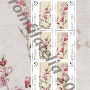 FLORI DE PIERSIC (Florã II)