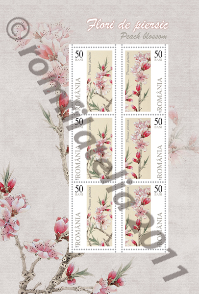 FLORI DE PIERSIC (Florã II) 1 FLORI DE PIERSIC (Florã II)