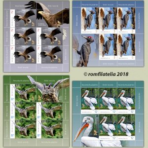 RECORDURILE PĂSĂRILOR