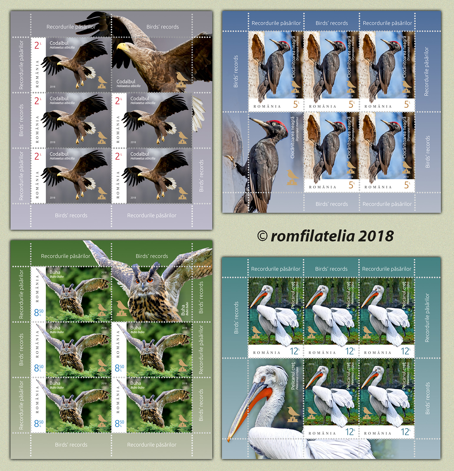RECORDURILE PĂSĂRILOR 1 RECORDURILE PĂSĂRILOR