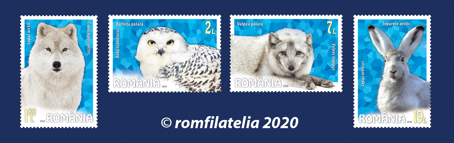 FAUNĂ POLARĂ 1 FAUNĂ POLARĂ