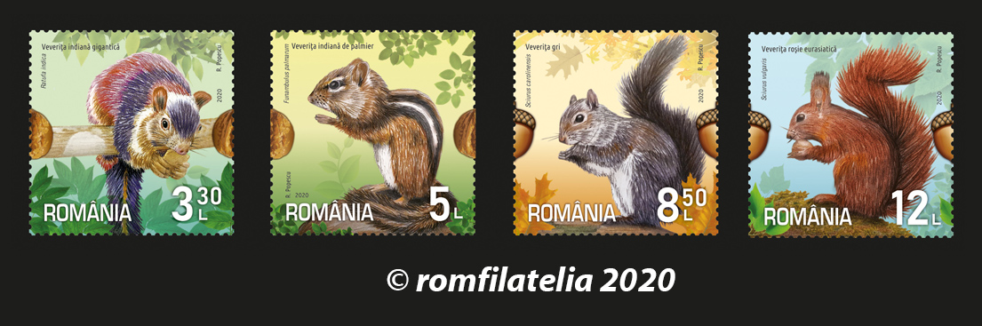 veverițe 1 veverițe