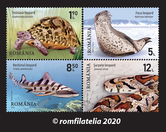 ANIMALE TIP LEOPARD 1 ANIMALE TIP LEOPARD