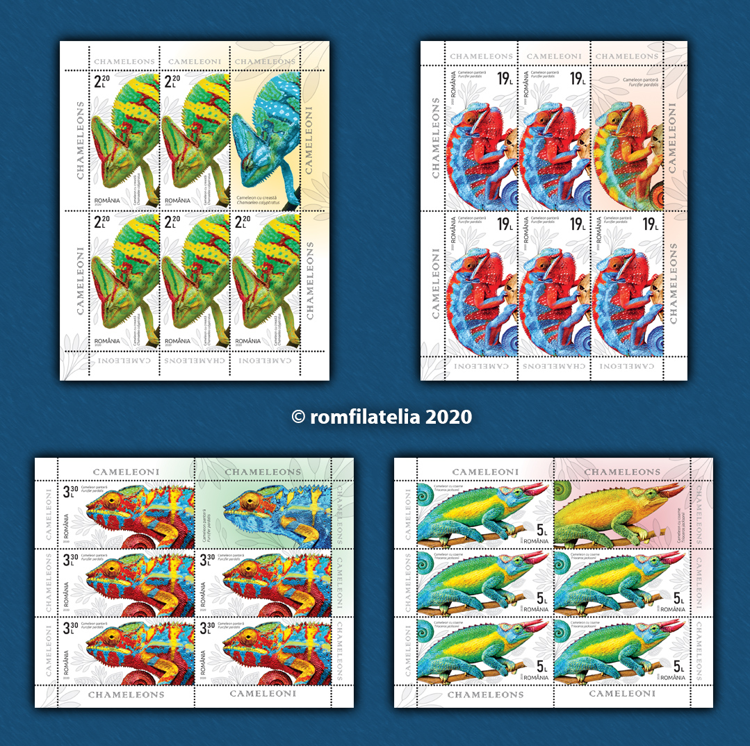 CAMELEONI 1 CAMELEONI