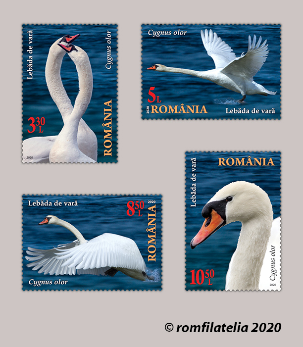 DELTA DUNĂRII DELTA DUNĂRII. LEBEDE