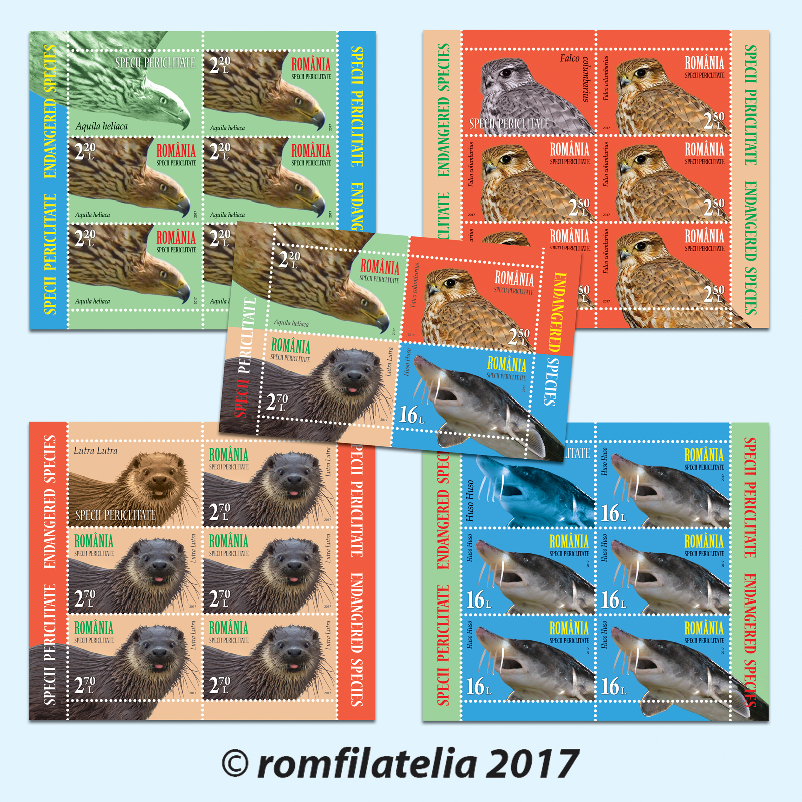 SPECII PERICLITATE 1 SPECII PERICLITATE