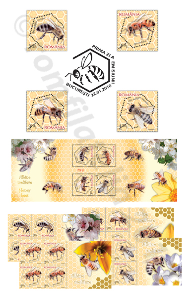 ALBINE MELIFERE 1 ALBINE MELIFERE