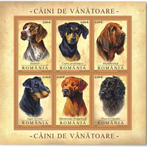 Câini de vânătoare