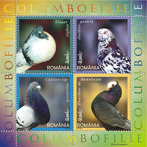 Columbofilie 1 Columbofilie