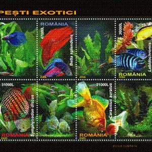 Pești Exotici