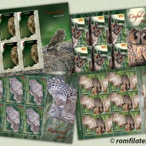 Pãsãri rãpitoare de noapte