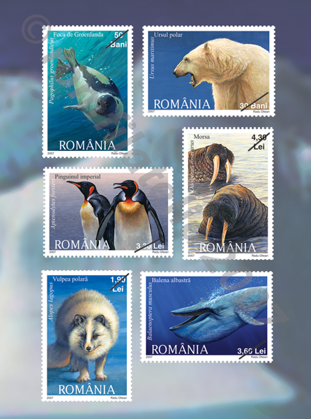 FAUNÃ POLARÃ 1 FAUNÃ POLARÃ