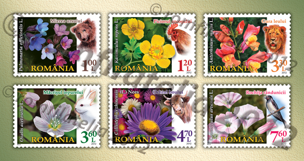 FLORA ROMÂNIEI (I) - „Florile faunei“ 1 FLORA ROMÂNIEI (I) - „Florile faunei“