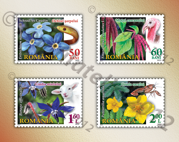 FLORA ROMÂNIEI (II) - „Florile faunei“ 1 FLORA ROMÂNIEI (II) - „Florile faunei“