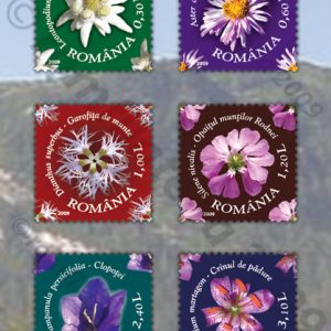 FLORÃ DIN ARII PROTEJATE – MUNȚII RODNEI