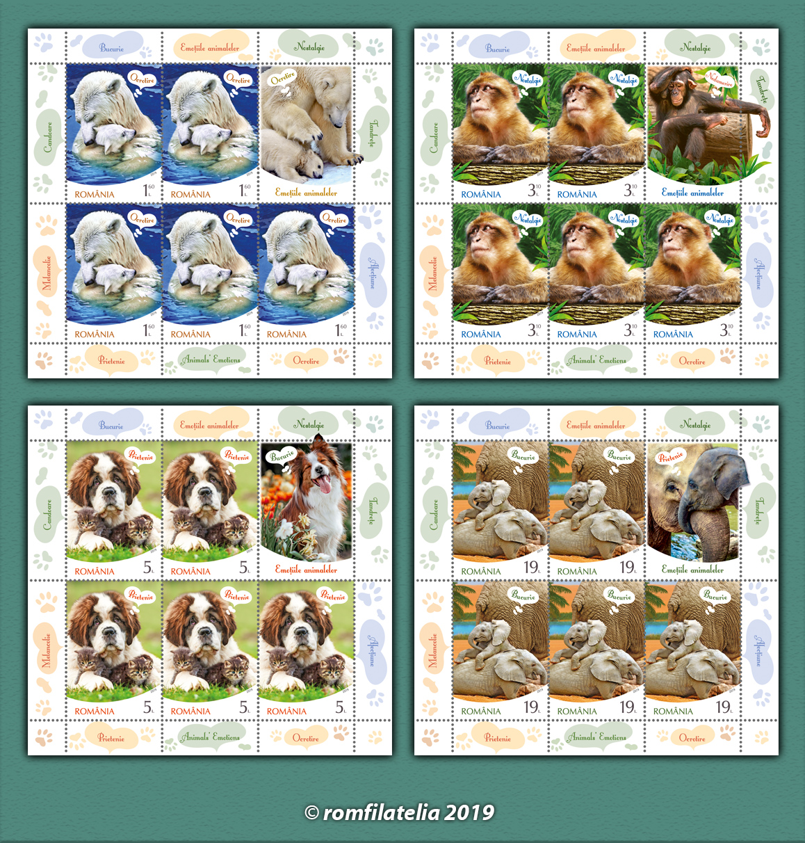 EMOȚIILE ANIMALELOR 1 EMOȚIILE ANIMALELOR