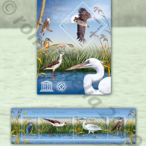 Pãsãri din Delta Dunãrii