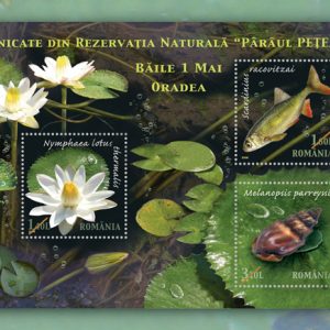 UNICATE DIN REZERVAȚIA NATURALÃ „PÂRÂUL PEȚEA“ BÃILE 1 MAI - ORADEA